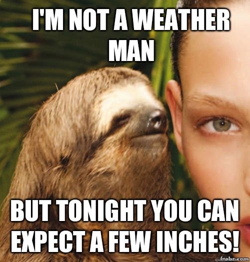 I'm not a weather man But tonight you can expect a few inches!  rape sloth