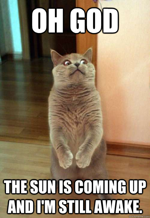 Oh god the sun is coming up and I'm still awake.  Horrorcat