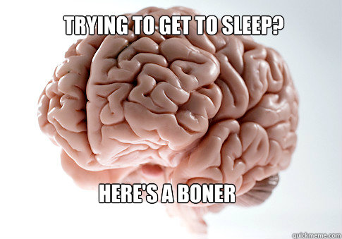 Trying to get to sleep?
 Here's a boner - Trying to get to sleep?
 Here's a boner  Scumbag Brain