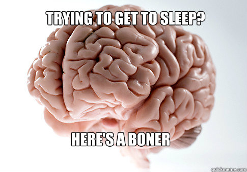 Trying to get to sleep?
 Here's a boner  Scumbag Brain