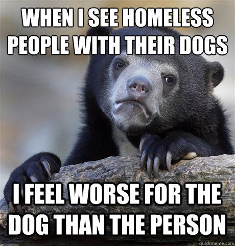 WHEN I SEE HOMELESS PEOPLE WITH THEIR DOGS I FEEL WORSE FOR THE DOG THAN THE PERSON - WHEN I SEE HOMELESS PEOPLE WITH THEIR DOGS I FEEL WORSE FOR THE DOG THAN THE PERSON  Confession Bear