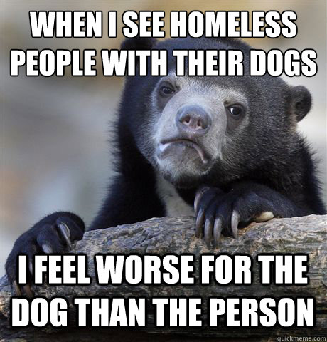 WHEN I SEE HOMELESS PEOPLE WITH THEIR DOGS I FEEL WORSE FOR THE DOG THAN THE PERSON  Confession Bear