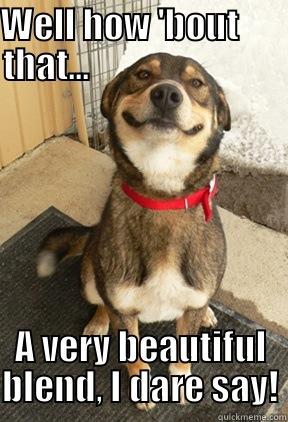 Appreciative Dog - WELL HOW 'BOUT       THAT...                            A VERY BEAUTIFUL BLEND, I DARE SAY! Good Dog Greg