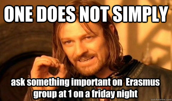 ONE DOES NOT SIMPLY ask something important on  Erasmus group at 1 on a friday night   One Does Not Simply