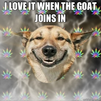 Stoner Dog memes | quickmeme