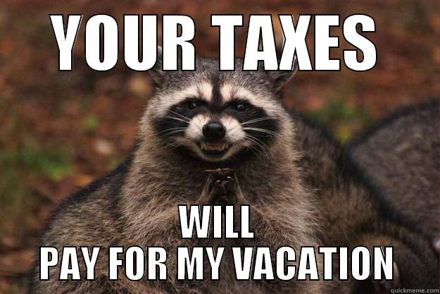 YOUR TAXES WILL PAY FOR MY VACATION Evil Plotting Raccoon