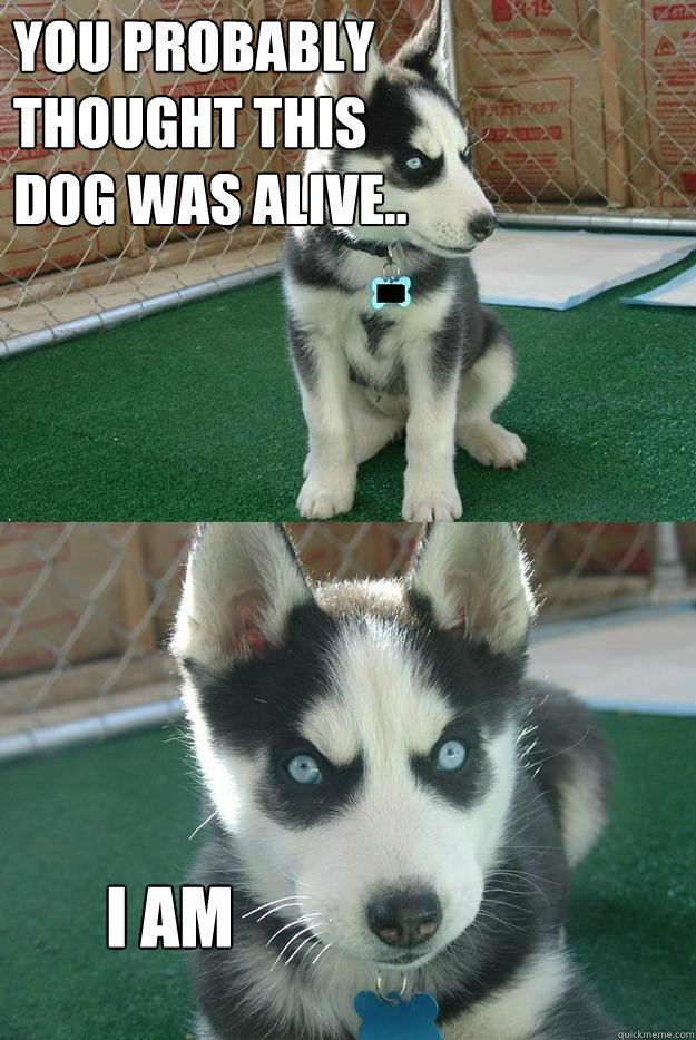 You probably thought this dog was alive.. i am  Insanity puppy