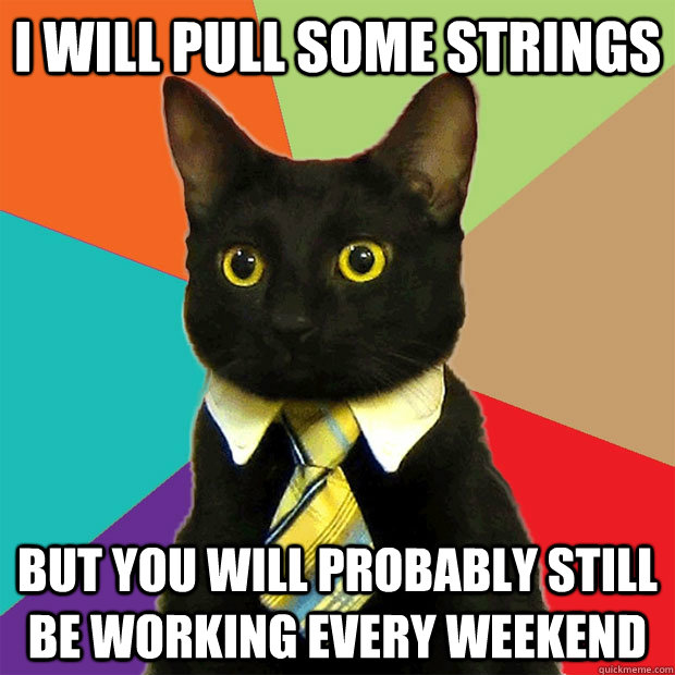 I will pull some strings but you will probably still be working every weekend  Business Cat