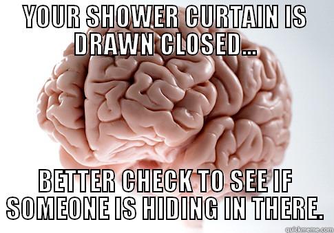 YOUR SHOWER CURTAIN IS DRAWN CLOSED... BETTER CHECK TO SEE IF SOMEONE IS HIDING IN THERE. Scumbag Brain