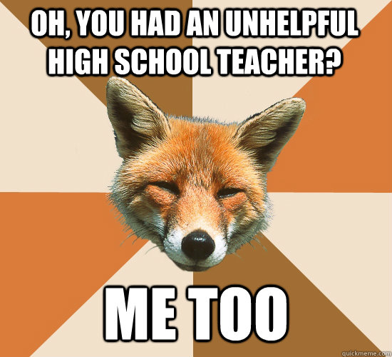 Oh, you had an unhelpful high school teacher? me too  Condescending Fox