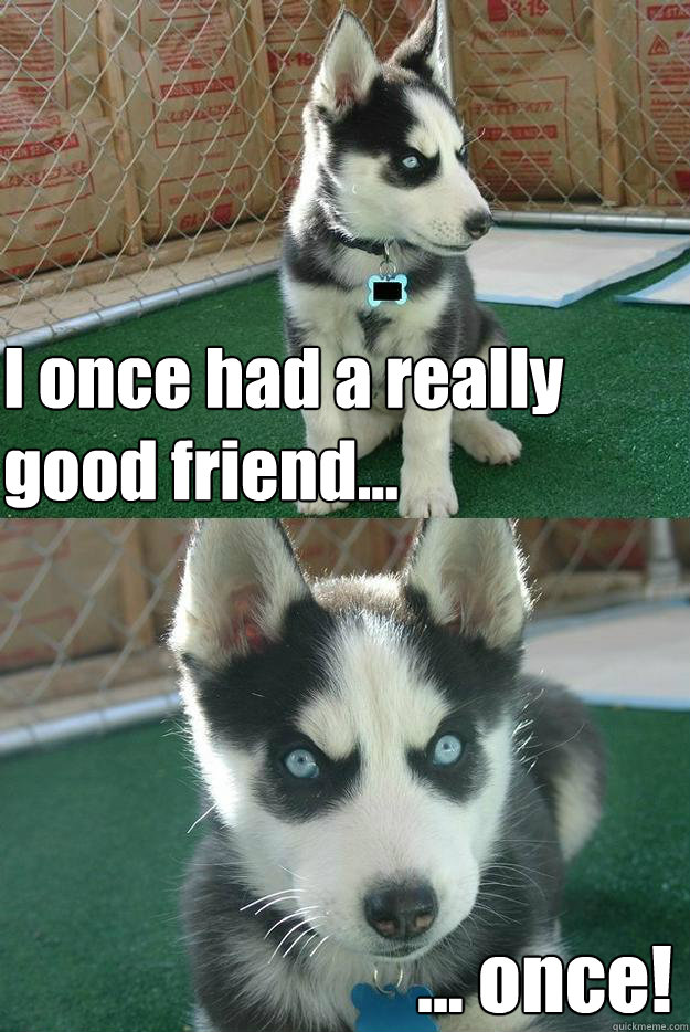 I once had a really good friend... ... once!  Insanity puppy