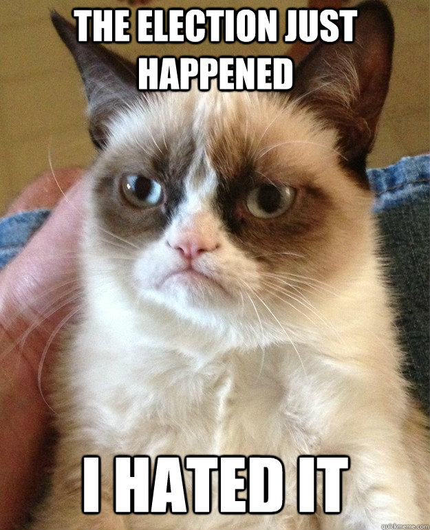 The election just happened I hated it  Grumpy Cat