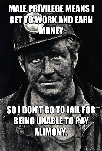 Male privilege means I get to work and earn money so i don't go to jail for being unable to pay alimony.  