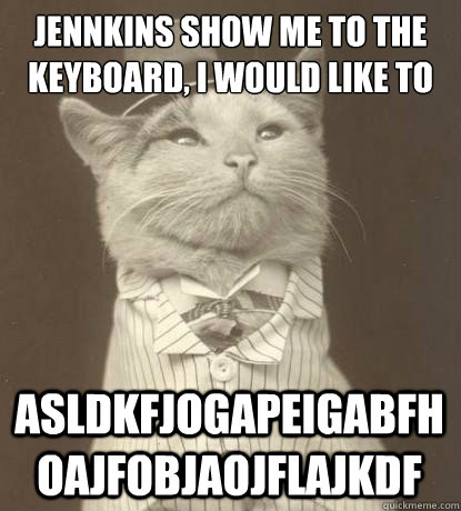 Jennkins show me to the Keyboard, I would like to asldkfjogapeigabfhoajfobjaojflajkdf  Aristocat