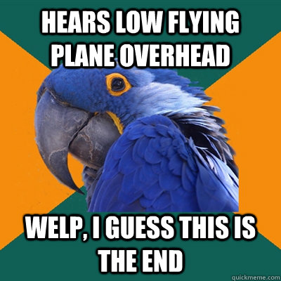 HEARS LOW FLYING PLANE OVERHEAD WELP, I GUESS THIS IS THE END  Paranoid Parrot