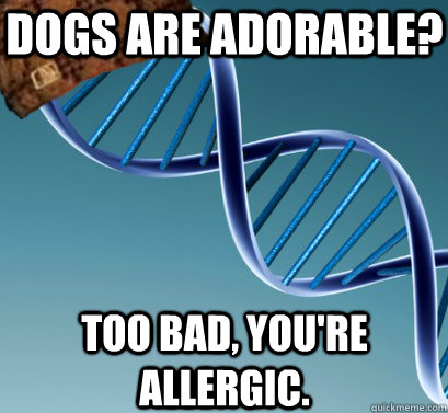 Dogs are adorable? Too bad, you're allergic.  Scumbag DNA