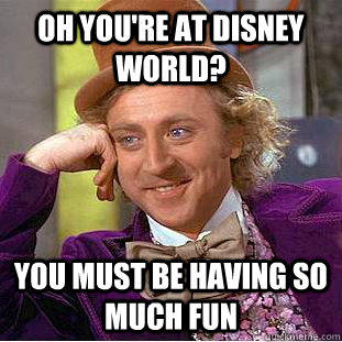 Oh you're at Disney World? You must be having so much fun  Condescending Wonka