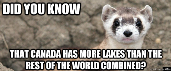 Did you know that Canada has more lakes than the rest of the world combined?  Fun-Fact-Ferret