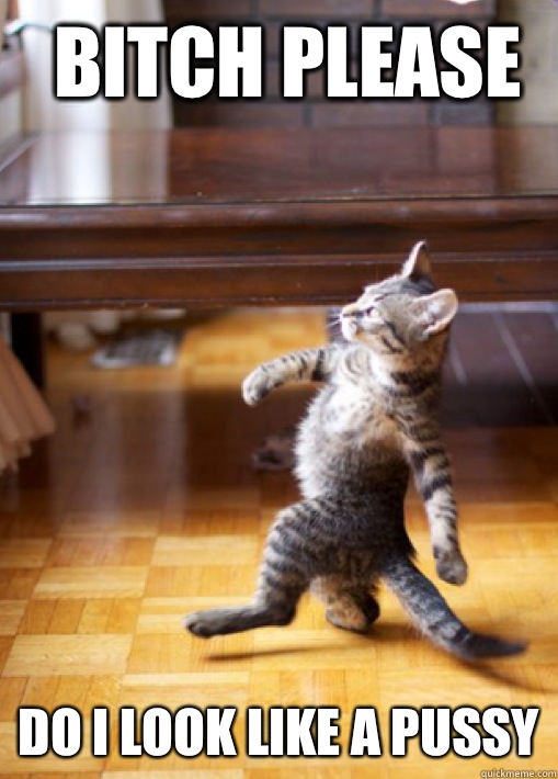 Bitch please  Do I look like a pussy  Swagger Cat