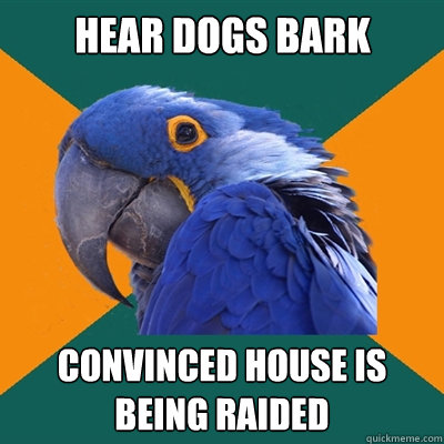 HEAR dogs bark convinced house is being raided  Paranoid Parrot