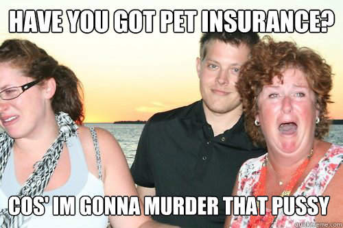 Have you got pet insurance?
 cos' im gonna murder that pussy
  