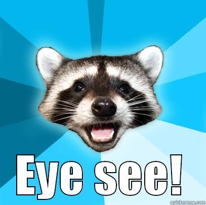  EYE SEE! Lame Pun Coon