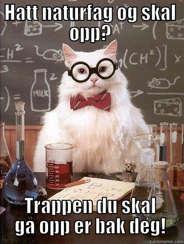 HATT NATURFAG OG SKAL OPP? TRAPPEN DU SKAL GÅ OPP ER BAK DEG! Chemistry Cat