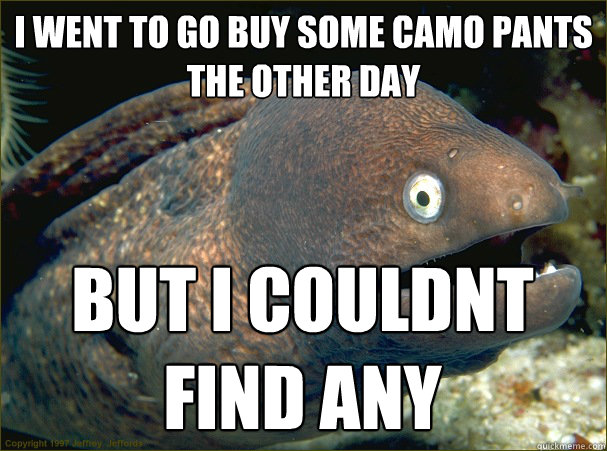i went to go buy some camo pants the other day but i couldnt find any  Bad Joke Eel