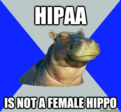 HIPAA IS NOT A FEMALE HIPPO  Skeptical Hippo