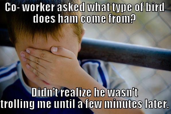 CO- WORKER ASKED WHAT TYPE OF BIRD DOES HAM COME FROM? DIDN'T REALIZE HE WASN'T TROLLING ME UNTIL A FEW MINUTES LATER. Confession kid