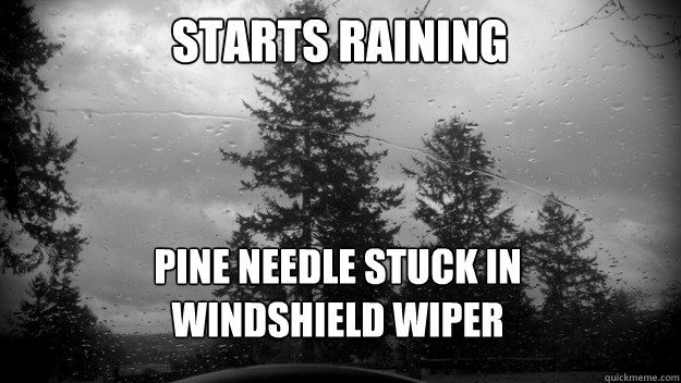 Starts raining pine needle stuck in
windshield wiper - Starts raining pine needle stuck in
windshield wiper  Todays FirstWorldProblem