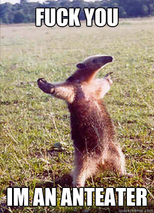 Fuck you
 im an anteater - Fuck you
 im an anteater  Defiace Anteater