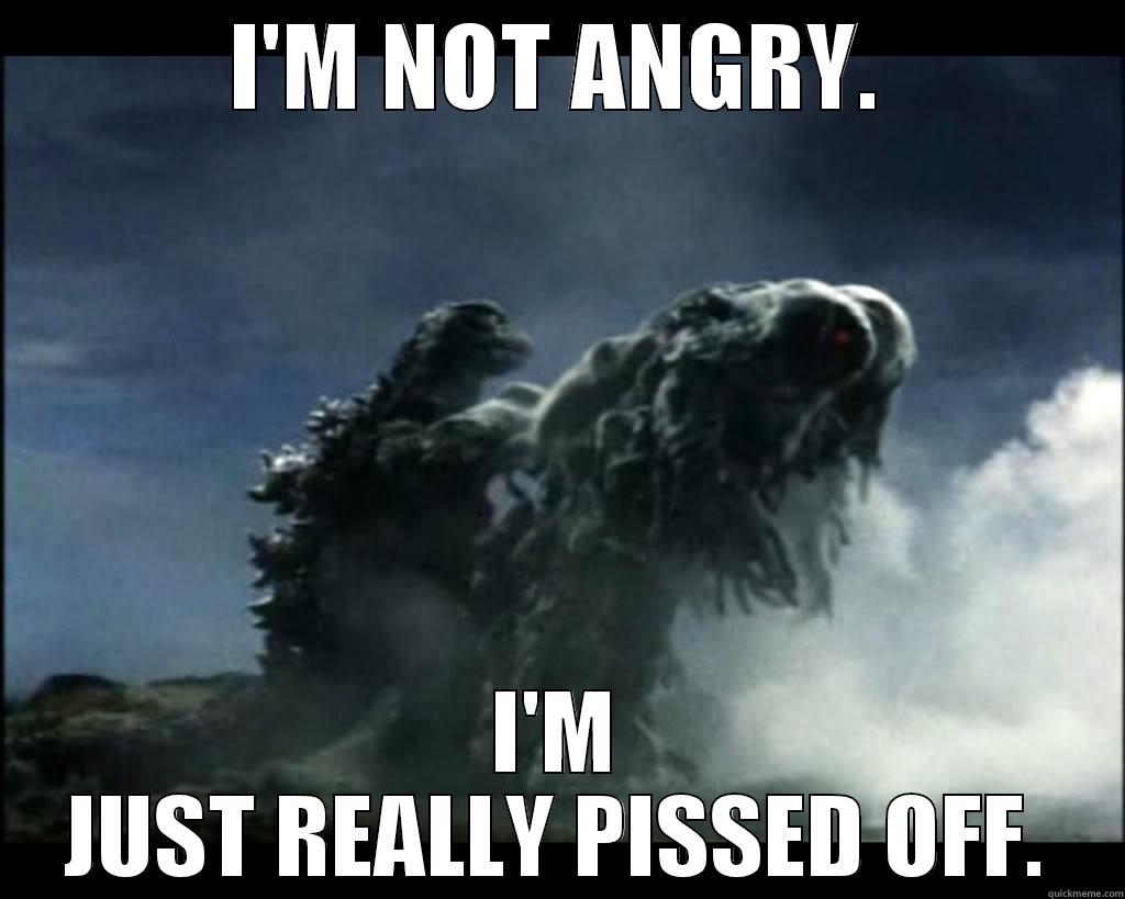 I'M NOT ANGRY. I'M JUST REALLY PISSED OFF. Misc