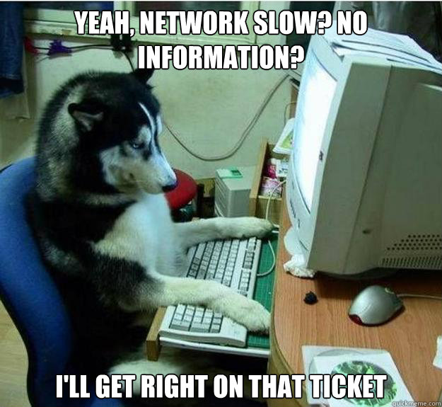 yeah, network slow? no information? i'll get right on that ticket  Disapproving Dog