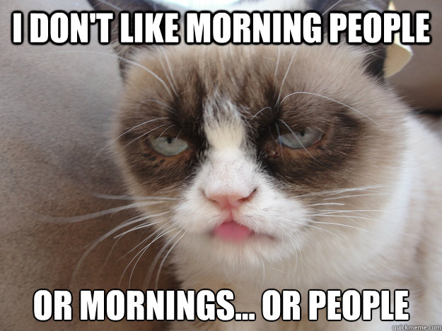 I DON'T LIKE MORNING PEOPLE OR MORNINGS... OR PEOPLE  i HATE MORNING PEOPLE