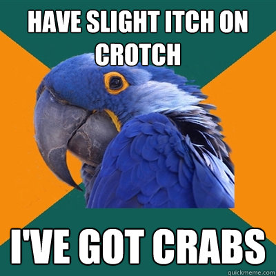 Have slight itch on crotch i've got crabs  Paranoid Parrot