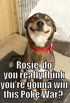  ROSIE, DO YOU REALLY THINK YOU'RE GONNA WIN THIS POKE WAR?  Good Dog Greg