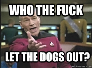 Who the fuck Let the dogs out? - Who the fuck Let the dogs out?  Annoyed Picard