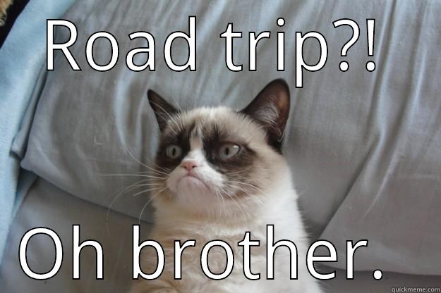 ROAD TRIP?! OH BROTHER.  Grumpy Cat