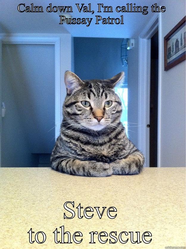 He he - CALM DOWN VAL, I'M CALLING THE PUSSAY PATROL STEVE TO THE RESCUE Chris Hansen Cat