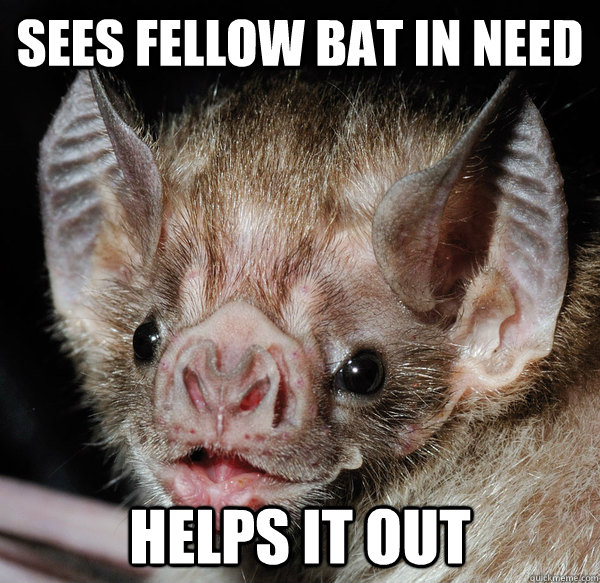 Sees fellow bat in need helps it out - Sees fellow bat in need helps it out  Good Guy Bat