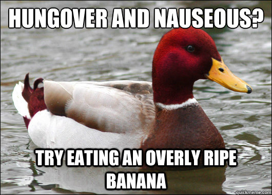 hungover and nauseous?
 try eating an overly ripe banana  Malicious Advice Mallard