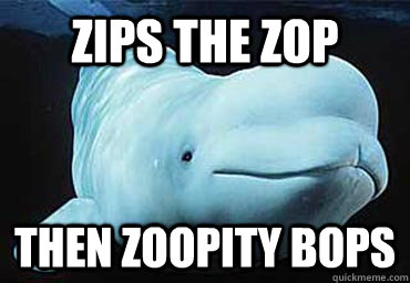Zips the zop then zoopity bops  Misbehavin Pocket Whale