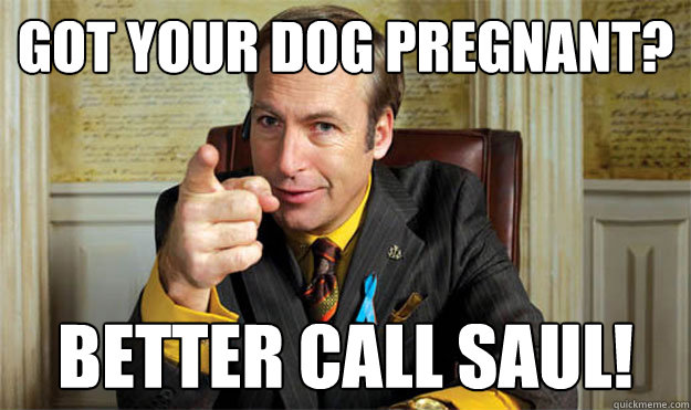 Got your dog pregnant? Better CALL SAUL! - Got your dog pregnant? Better CALL SAUL!  Better Call Saul!