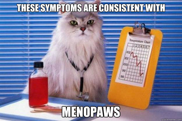 these symptoms are consistent with menopaws  Doctor Cat