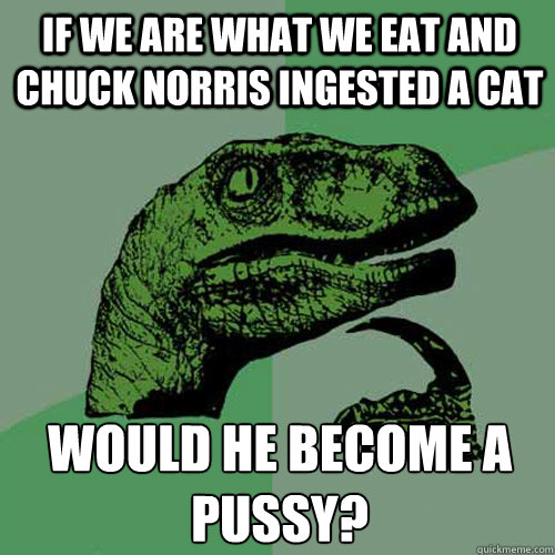 If we are what we eat and chuck norris ingested a cat would he become a pussy?  Philosoraptor