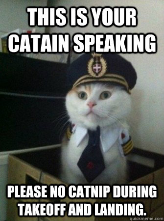 This is your catain speaking please no catnip during takeoff and landing.  