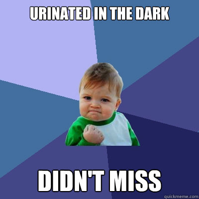 Urinated in the dark Didn't Miss  Success Kid