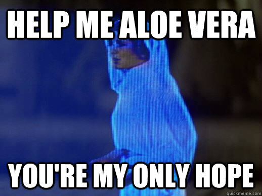 Help me aloe vera you're my only hope  help me obi-wan kenobi