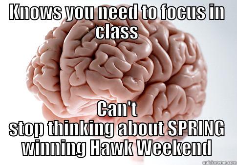KNOWS YOU NEED TO FOCUS IN CLASS CAN'T STOP THINKING ABOUT SPRING WINNING HAWK WEEKEND Scumbag Brain